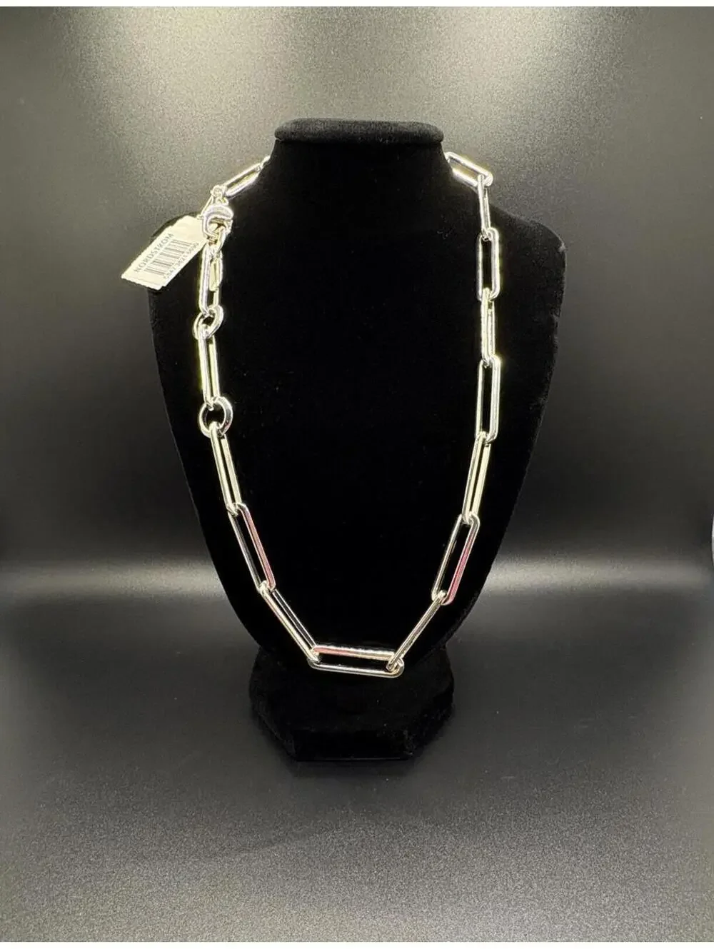 Jenny Bird Silver Paper Clip Necklace - Picture 1 of 4